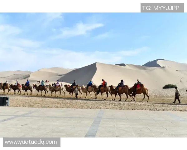 西安滑板队的灵活性探秘与发展之路分析